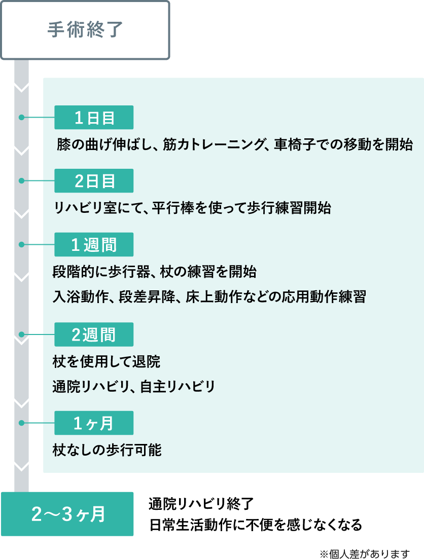 最新デザインの 人工股関節置換術 THA のすべて batumi.ge